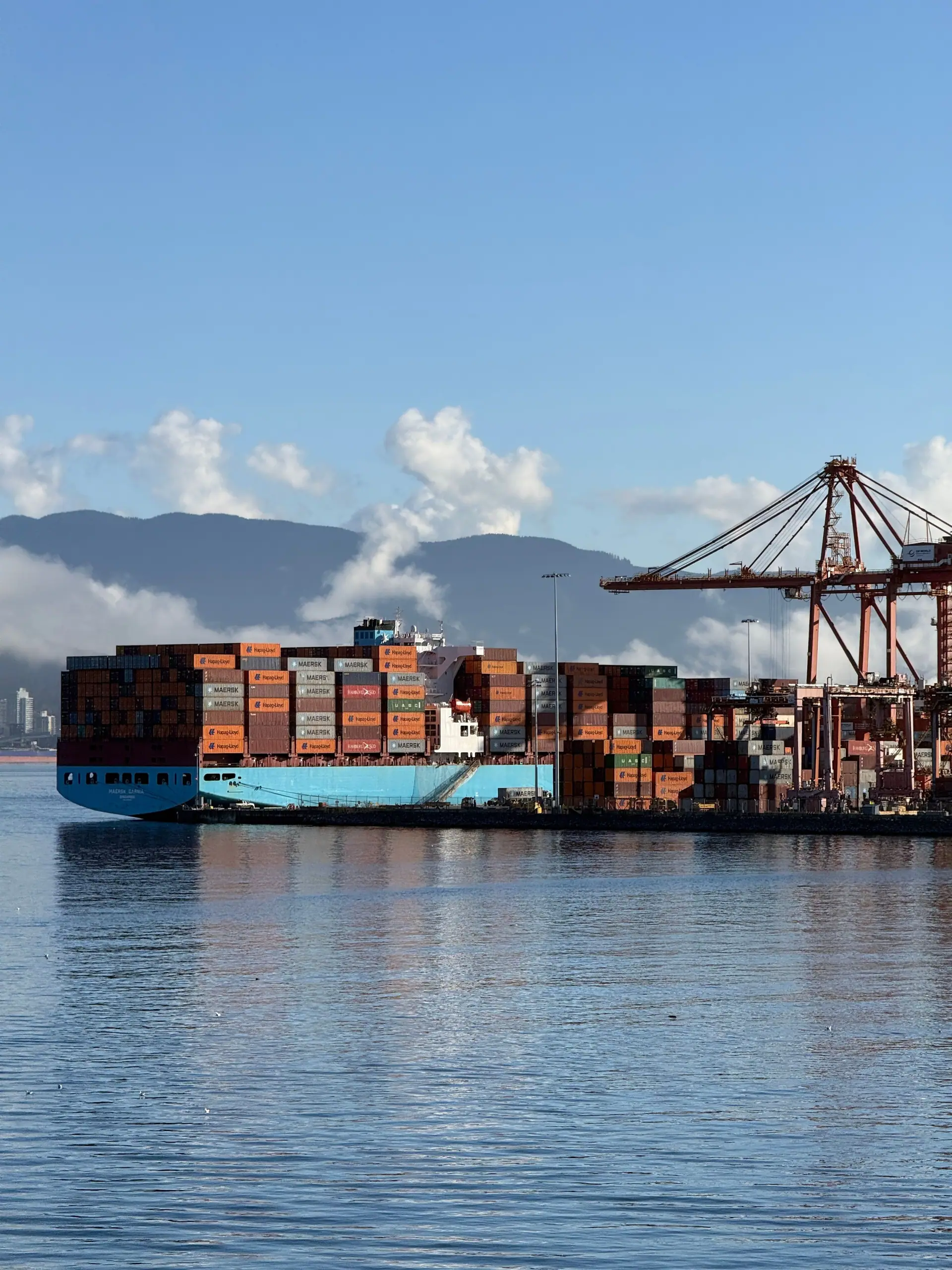 Container vessel alongside a commercial terminal with quay cranes working.